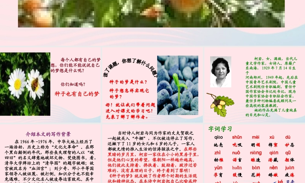 五年级语文下册 5《心愿》种子的梦课件1 北师大版-北师大版小学五年级下册语文课件