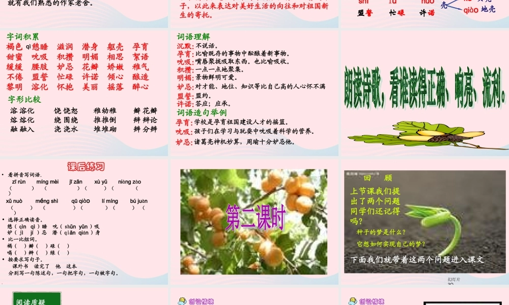 五年级语文下册 5《心愿》种子的梦课件1 北师大版-北师大版小学五年级下册语文课件