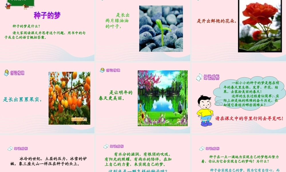 五年级语文下册 5《心愿》种子的梦课件1 北师大版-北师大版小学五年级下册语文课件