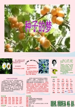 五年级语文下册 5《心愿》种子的梦课件1 北师大版-北师大版小学五年级下册语文课件