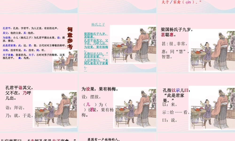 五年级语文下册 第八单元 21 杨氏之子教学课件 新人教版-新人教版小学五年级下册语文课件