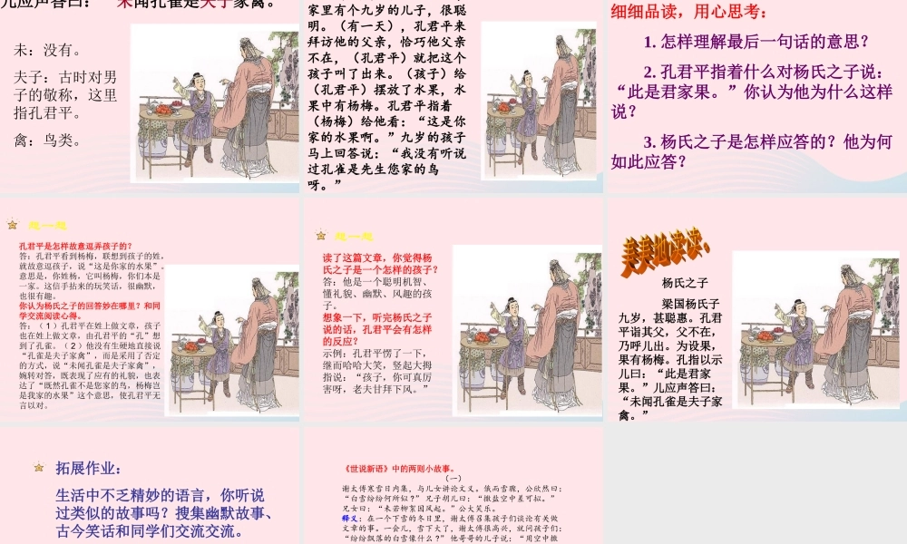 五年级语文下册 第八单元 21 杨氏之子教学课件 新人教版-新人教版小学五年级下册语文课件