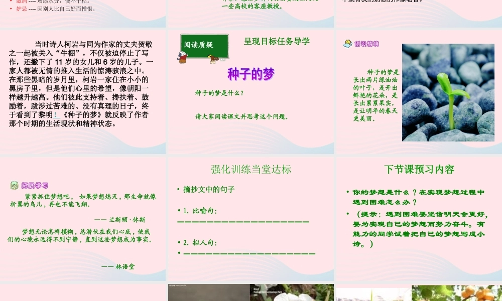 五年级语文下册 5《心愿》种子的梦课件2 北师大版-北师大版小学五年级下册语文课件