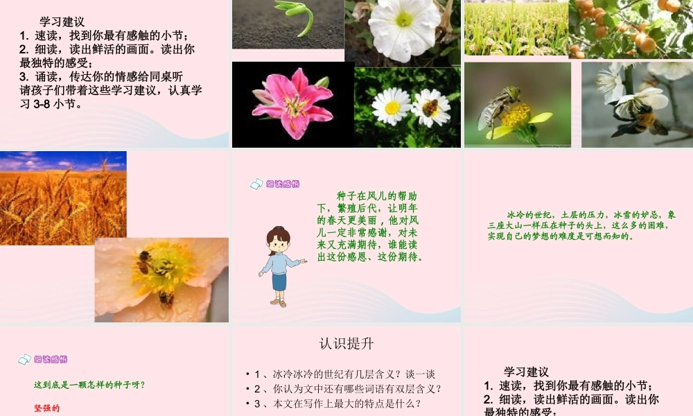 五年级语文下册 5《心愿》种子的梦课件2 北师大版-北师大版小学五年级下册语文课件