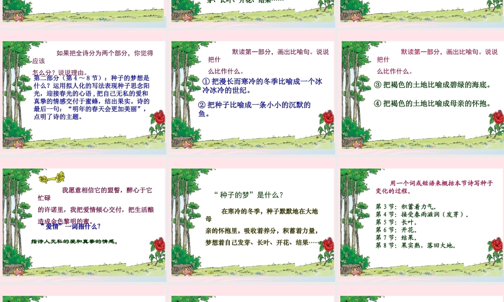 五年级语文下册 5《心愿》种子的梦课件3 北师大版-北师大版小学五年级下册语文课件