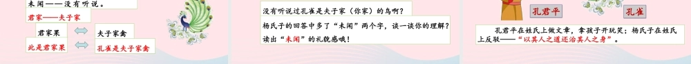 五年级语文下册 第八单元 21 杨氏之子教学课件 新人教版-新人教级下册语文课件