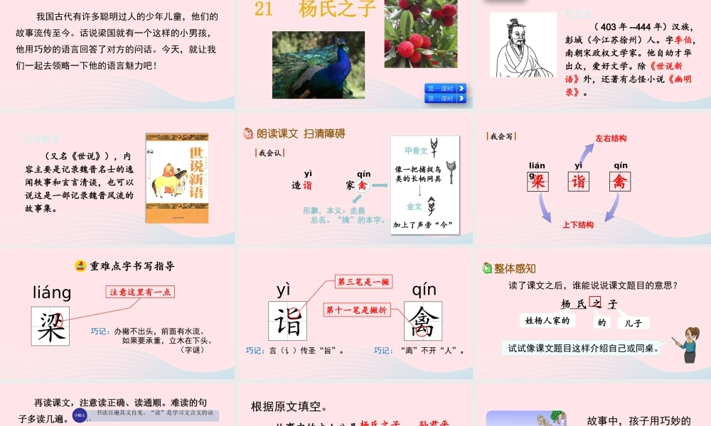 五年级语文下册 第八单元 21 杨氏之子精品课件 新人教版-新人教版小学五年级下册语文课件