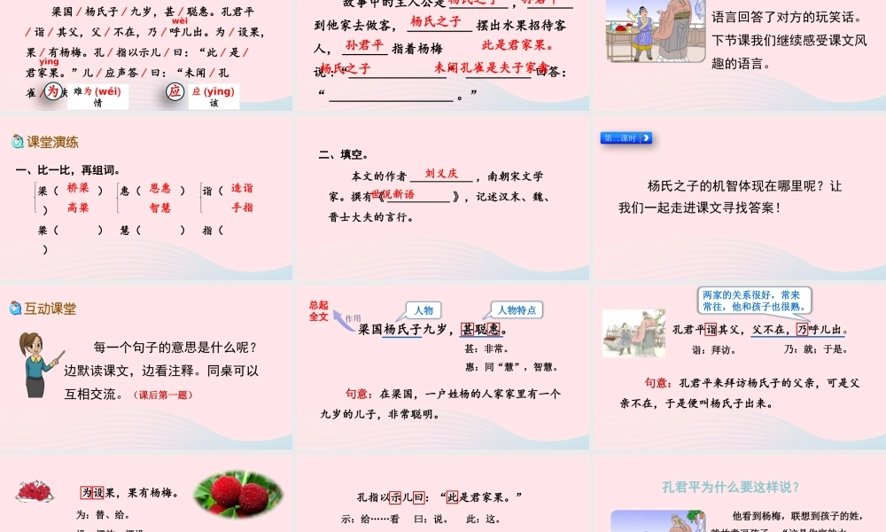 五年级语文下册 第八单元 21 杨氏之子精品课件 新人教版-新人教版小学五年级下册语文课件