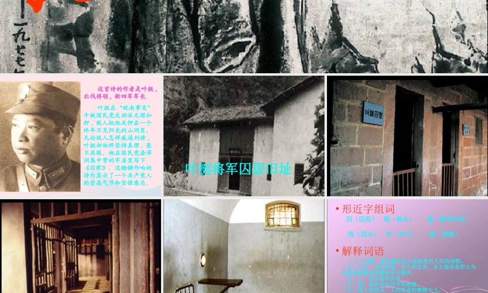 五年级语文下册 7《尊严》囚歌课件2 北师大版-北师大版小学五年级下册语文课件