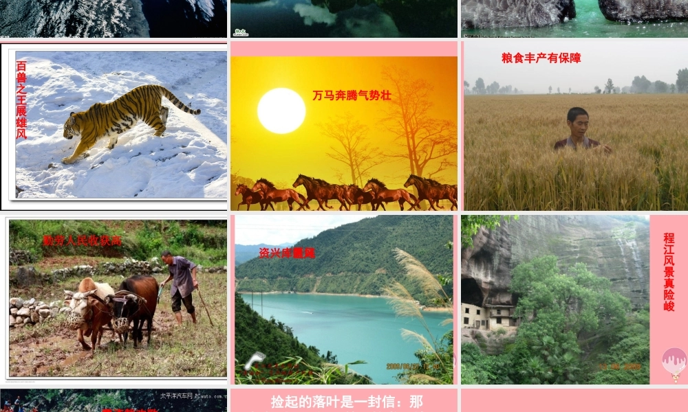 五年级语文上册 第四单元 地球信箱课件4 湘教版-湘教版小学五年级上册语文课件