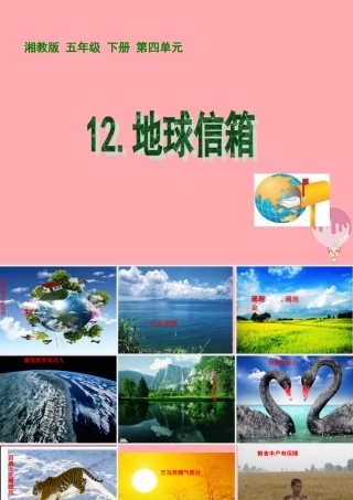 五年级语文上册 第四单元 地球信箱课件4 湘教版-湘教版小学五年级上册语文课件