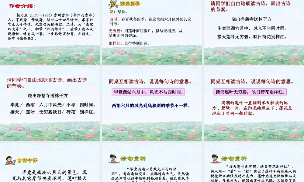 五年级语文下册 第八单元 第29课《诗词两首》课件 西师大版-西师大版小学五年级下册语文课件