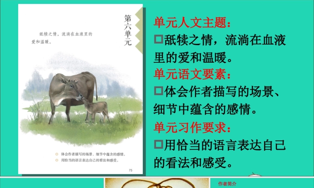 五年级语文上册 第六单元 18 慈母情深课件