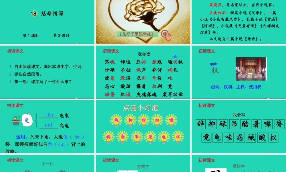 五年级语文上册 第六单元 18 慈母情深课件