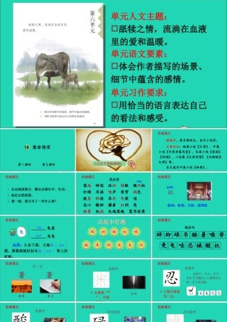 五年级语文上册 第六单元 18 慈母情深课件