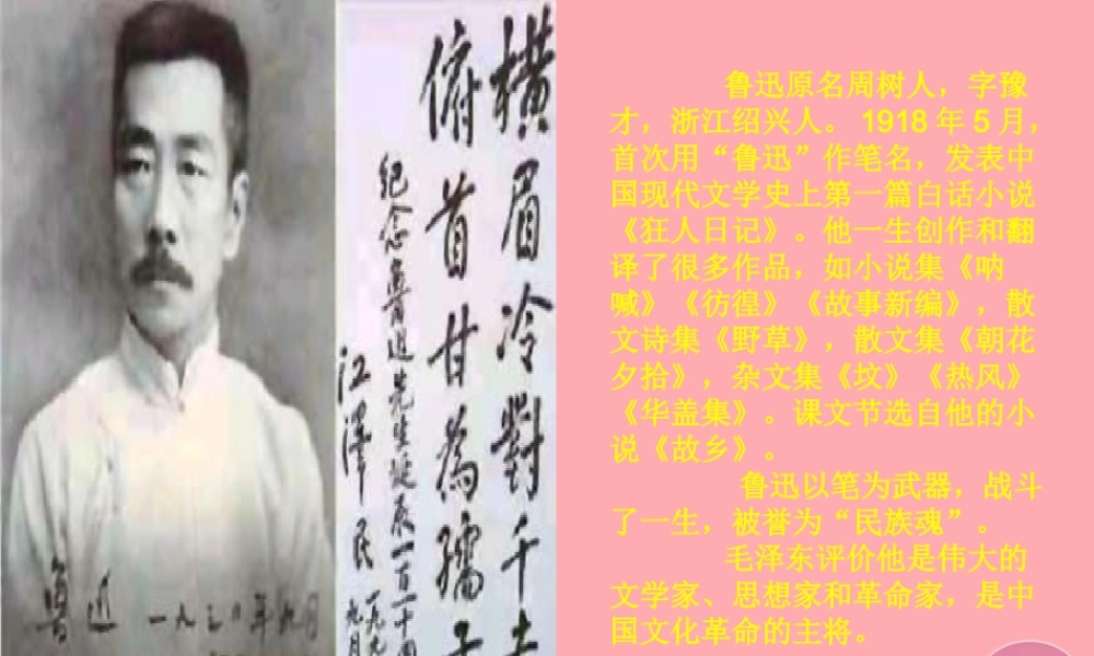 五年级语文上册 第四单元 少年闰土课件1 西师大版-西师大版小学五年级上册语文课件