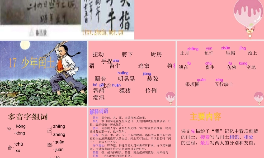 五年级语文上册 第四单元 少年闰土课件1 西师大版-西师大版小学五年级上册语文课件