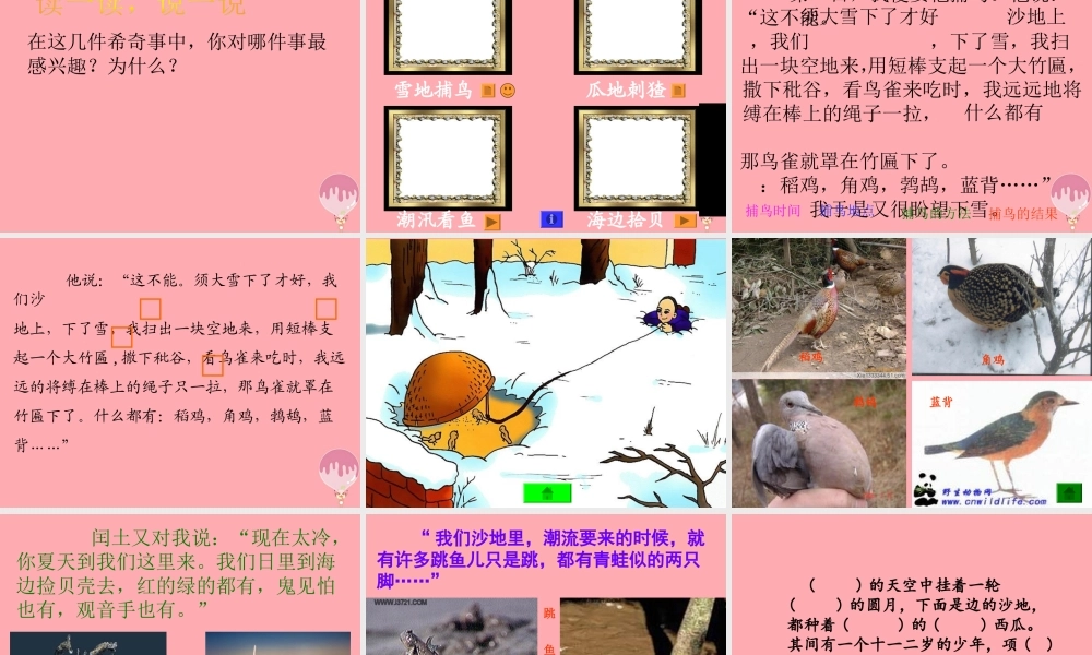 五年级语文上册 第四单元 少年闰土课件1 西师大版-西师大版小学五年级上册语文课件