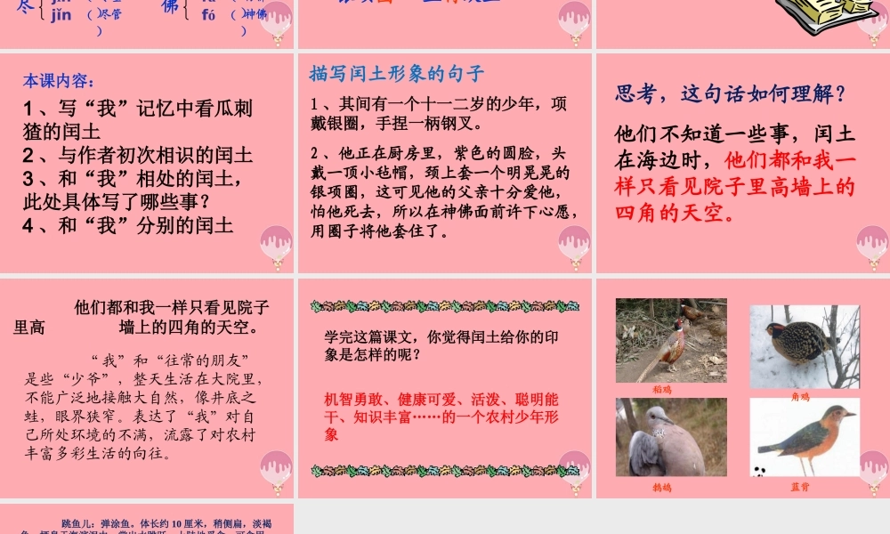 五年级语文上册 第四单元 少年闰土课件2 西师大版-西师大版小学五年级上册语文课件