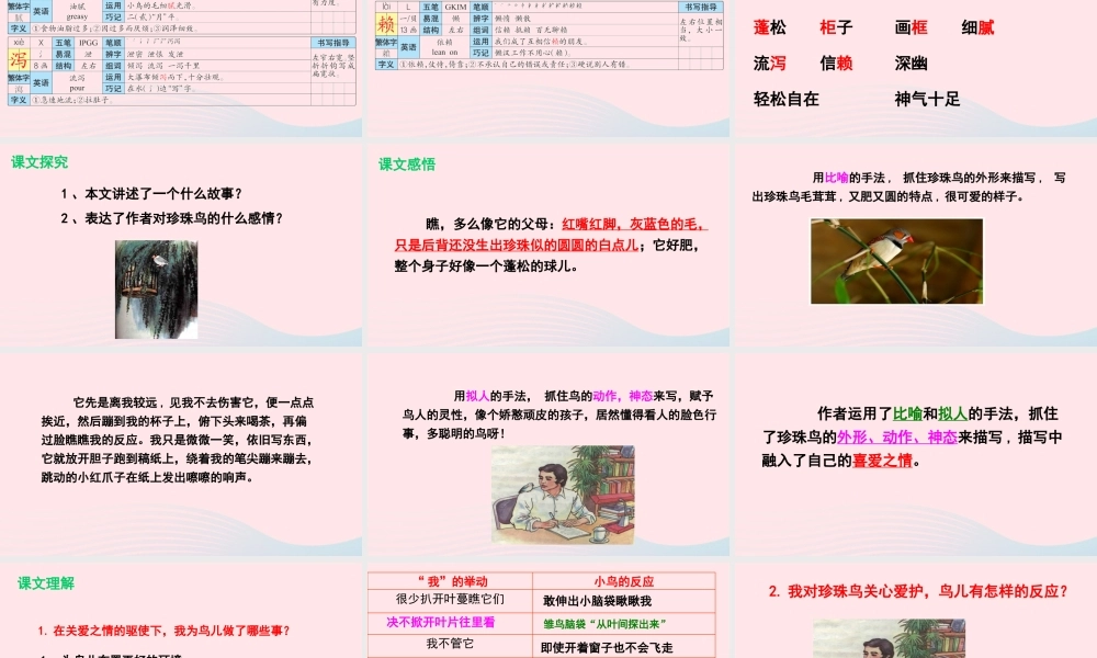 五年级语文下册 第二单元 7 珍珠鸟课件 语文S版-语文S版小学五年级下册语文课件