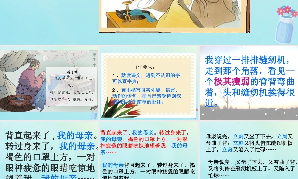 五年级语文上册 第六单元 18《慈母情深》课件 新人教版-新人教版小学五年级上册语文课件