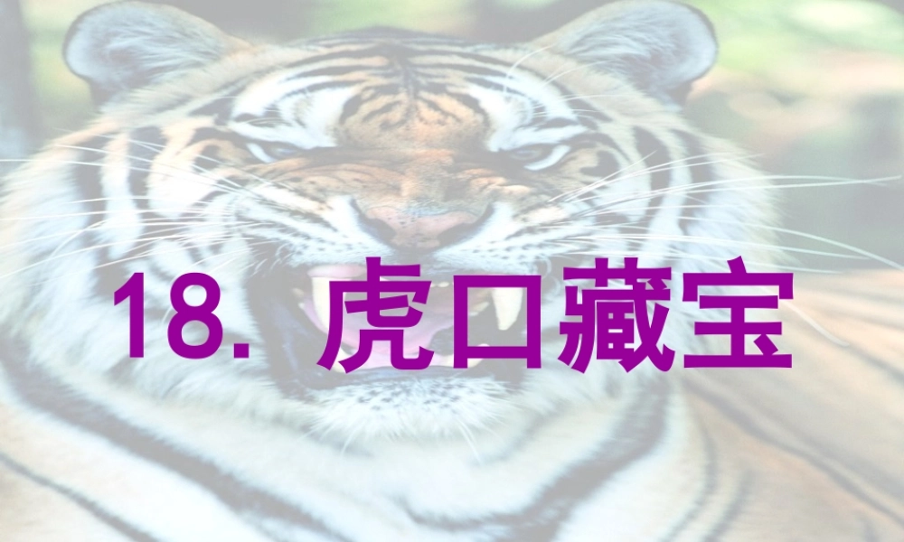五年级语文下册 第4单元 18《虎口藏宝》课件8 语文S版-语文S版小学五年级下册语文课件