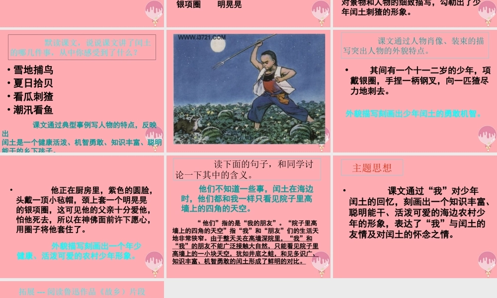 五年级语文上册 第四单元 少年闰土课件3 西师大版-西师大版小学五年级上册语文课件