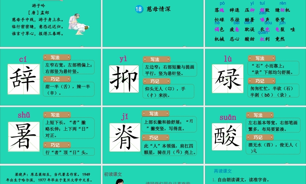 五年级语文上册 第六单元 18《慈母情深》课件