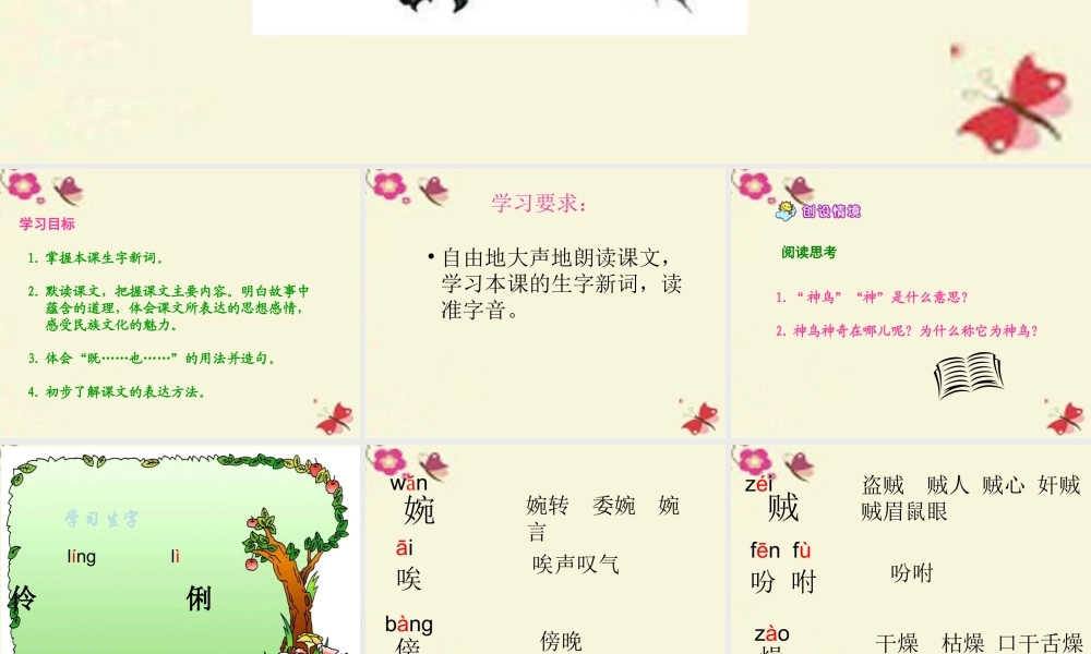 五年级语文下册 第1单元 1《神鸟》课件1 语文S版-语文S版小学五年级下册语文课件