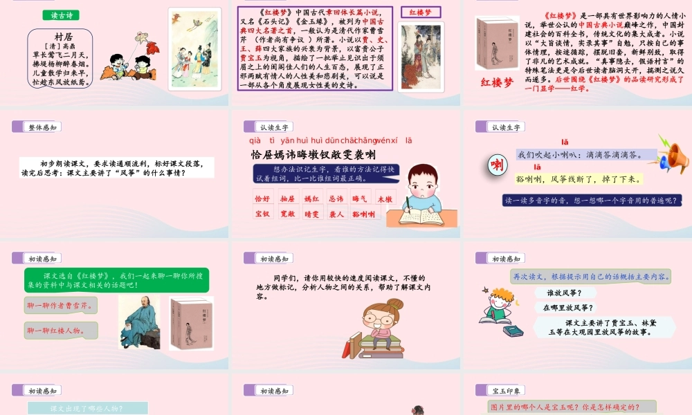 五年级语文下册 第二单元 8 红楼春趣教学课件 新人教版-新人教级下册语文课件