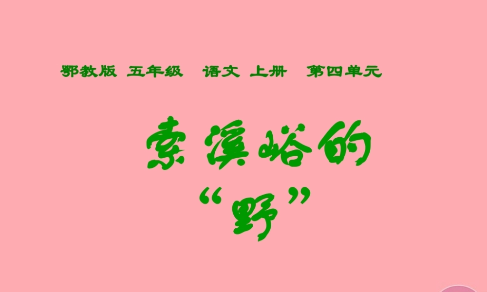五年级语文上册 第四单元 索溪峪的“野”课件1 鄂教版-鄂教版小学五年级上册语文课件