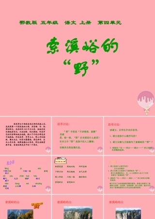 五年级语文上册 第四单元 索溪峪的“野”课件1 鄂教版-鄂教版小学五年级上册语文课件