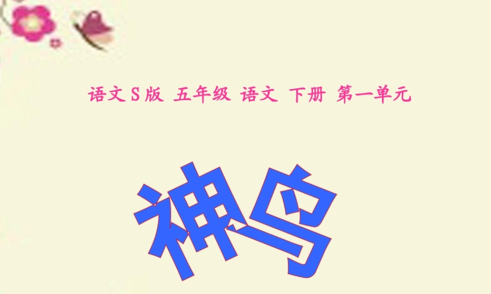 五年级语文下册 第1单元 1《神鸟》课件3 语文S版-语文S版小学五年级下册语文课件