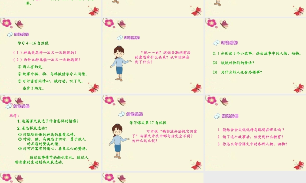 五年级语文下册 第1单元 1《神鸟》课件3 语文S版-语文S版小学五年级下册语文课件
