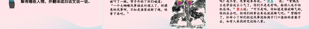 五年级语文下册 第二单元 8 红楼春趣精品课件 新人教版-新人教版小学五年级下册语文课件