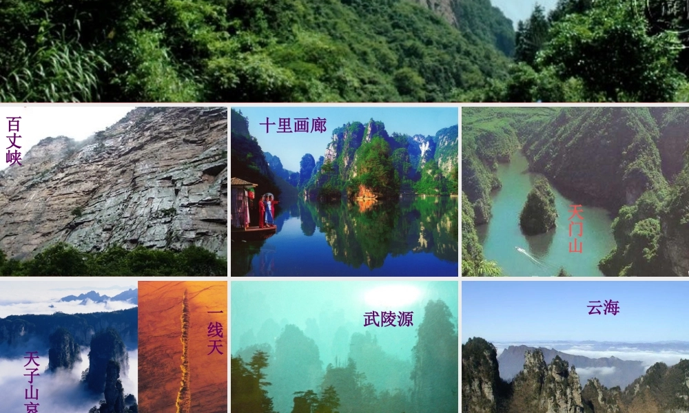 五年级语文上册 第四单元 索溪峪的“野”课件2 鄂教版-鄂教版小学五年级上册语文课件