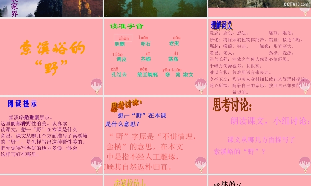 五年级语文上册 第四单元 索溪峪的“野”课件2 鄂教版-鄂教版小学五年级上册语文课件