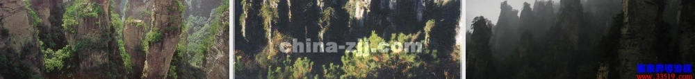 五年级语文上册 第四单元 索溪峪的“野”课件2 鄂教版-鄂教版小学五年级上册语文课件