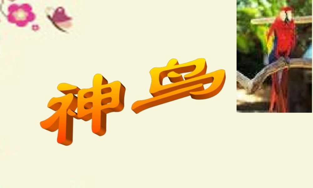 五年级语文下册 第1单元 1《神鸟》课件4 语文S版-语文S版小学五年级下册语文课件