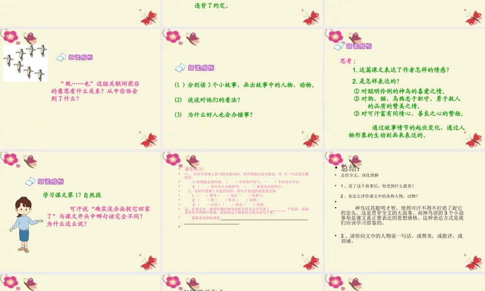 五年级语文下册 第1单元 1《神鸟》课件4 语文S版-语文S版小学五年级下册语文课件