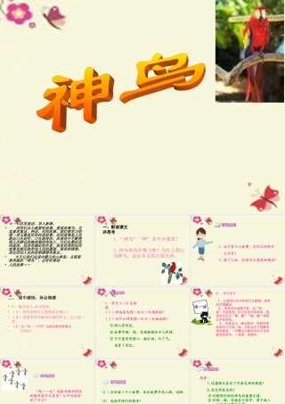 五年级语文下册 第1单元 1《神鸟》课件4 语文S版-语文S版小学五年级下册语文课件
