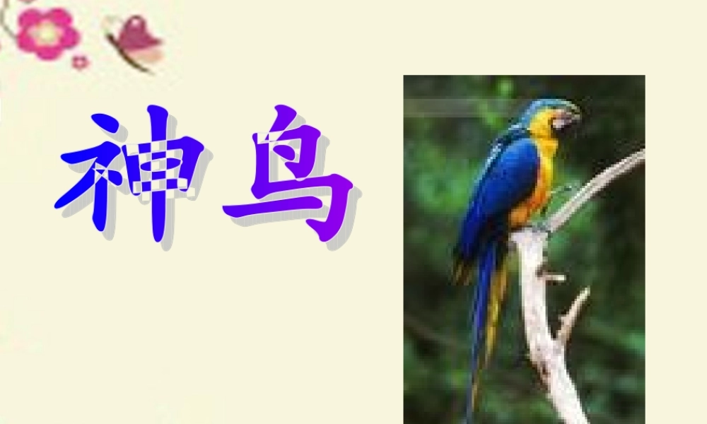 五年级语文下册 第1单元 1《神鸟》课件5 语文S版-语文S版小学五年级下册语文课件