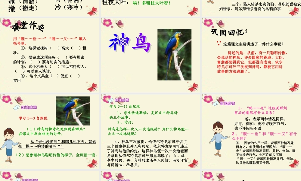 五年级语文下册 第1单元 1《神鸟》课件5 语文S版-语文S版小学五年级下册语文课件