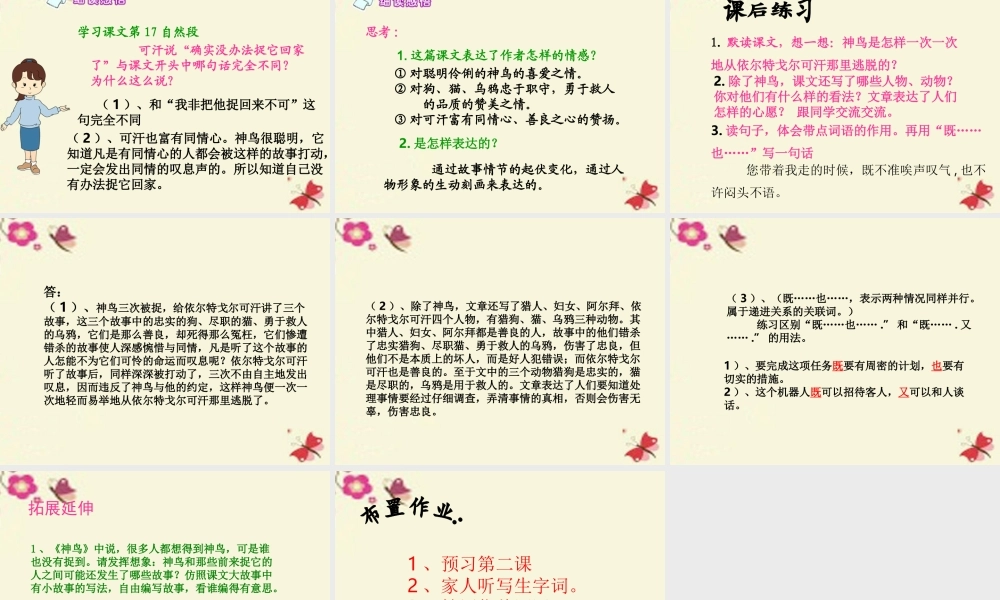 五年级语文下册 第1单元 1《神鸟》课件5 语文S版-语文S版小学五年级下册语文课件