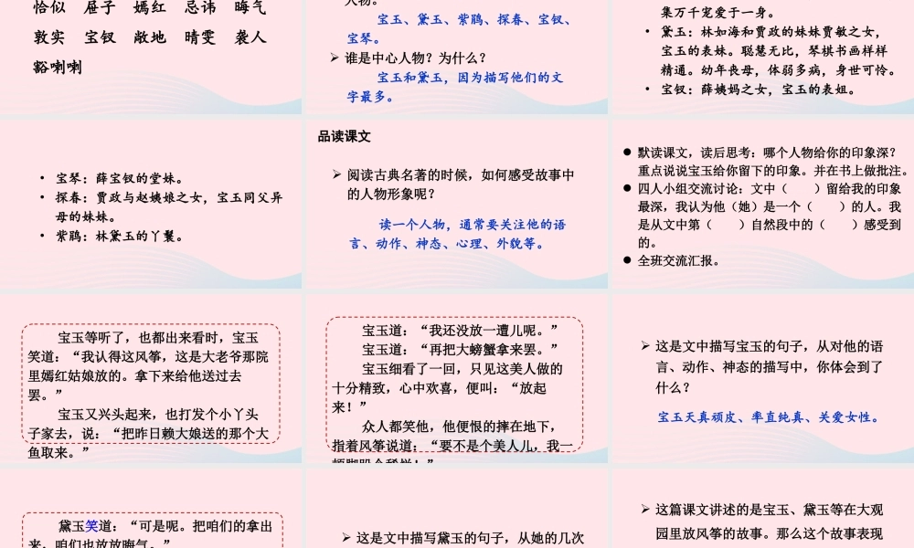 五年级语文下册 第二单元 8 红楼春趣配套课件 新人教版-新人教版小学五年级下册语文课件