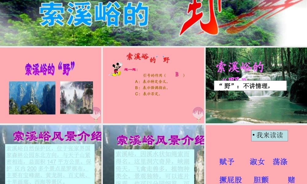 五年级语文上册 第四单元 索溪峪的“野”课件3 鄂教版-鄂教版小学五年级上册语文课件