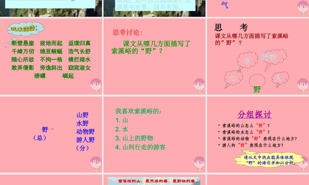 五年级语文上册 第四单元 索溪峪的“野”课件3 鄂教版-鄂教版小学五年级上册语文课件