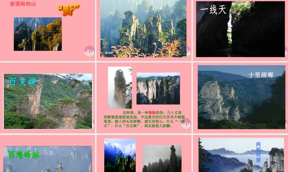 五年级语文上册 第四单元 索溪峪的“野”课件3 鄂教版-鄂教版小学五年级上册语文课件