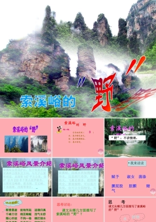 五年级语文上册 第四单元 索溪峪的“野”课件3 鄂教版-鄂教版小学五年级上册语文课件