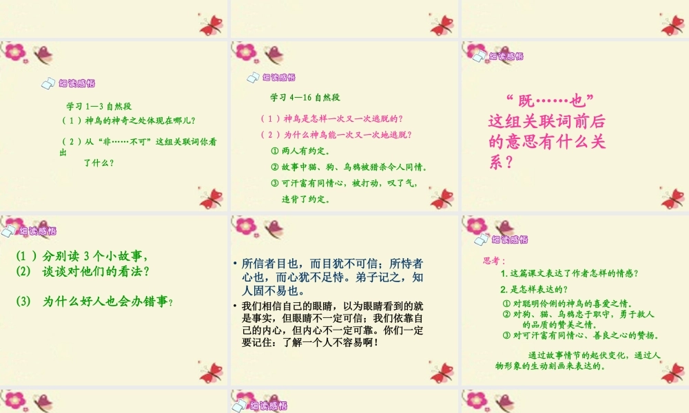 五年级语文下册 第1单元 1《神鸟》课件6 语文S版-语文S版小学五年级下册语文课件